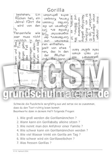 Gorilla.pdf